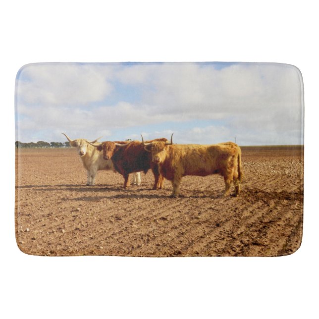 Highland Cow Triplets, Memory Foam Bathmat (Front)