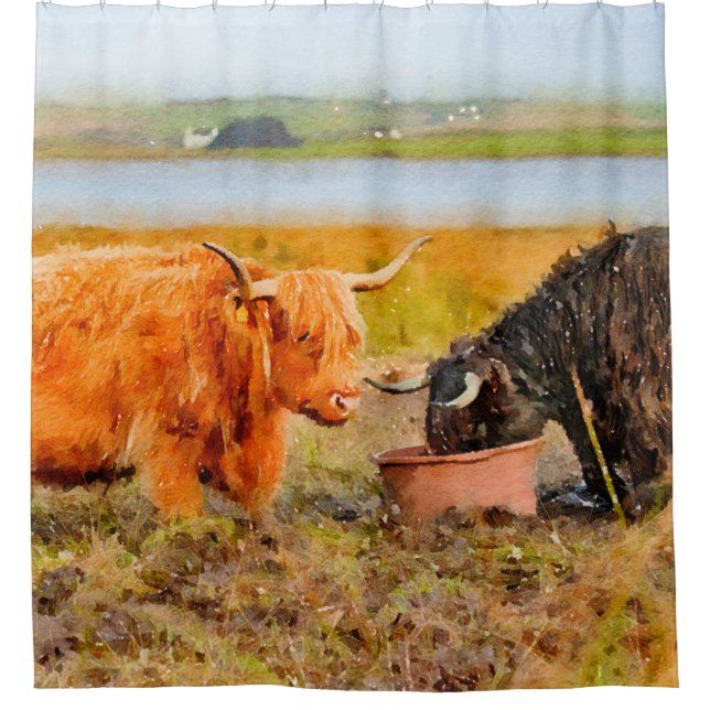 Highland cow watercolor #3 shower curtain (Front)