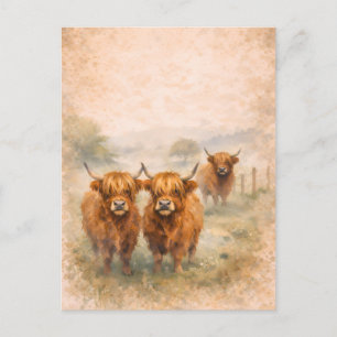 Highland Cow - Watercolour Animals Postcard