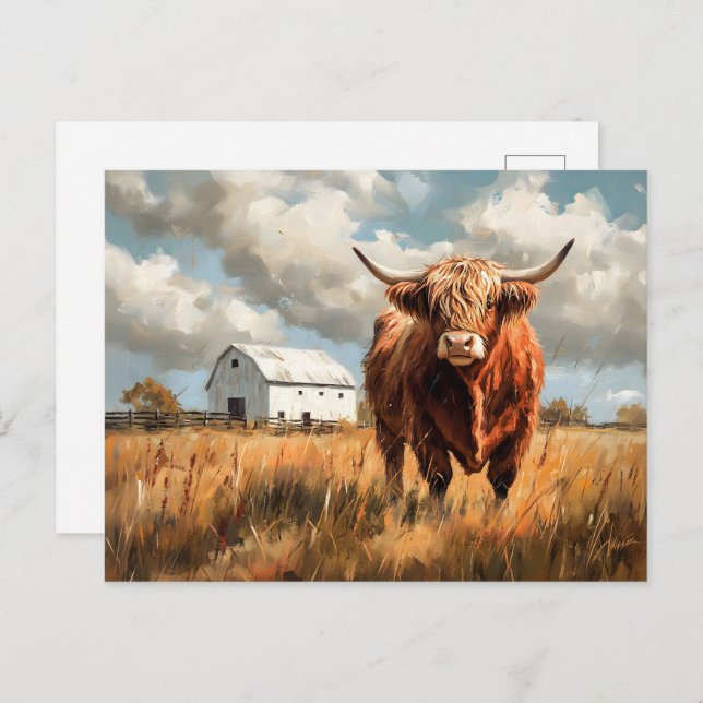 Highland Cow White Barn Rustic Postcard (Front/Back)
