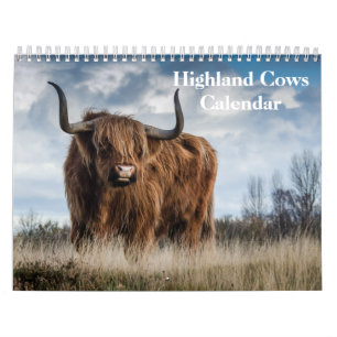 Highland Cows 2025 Calendar