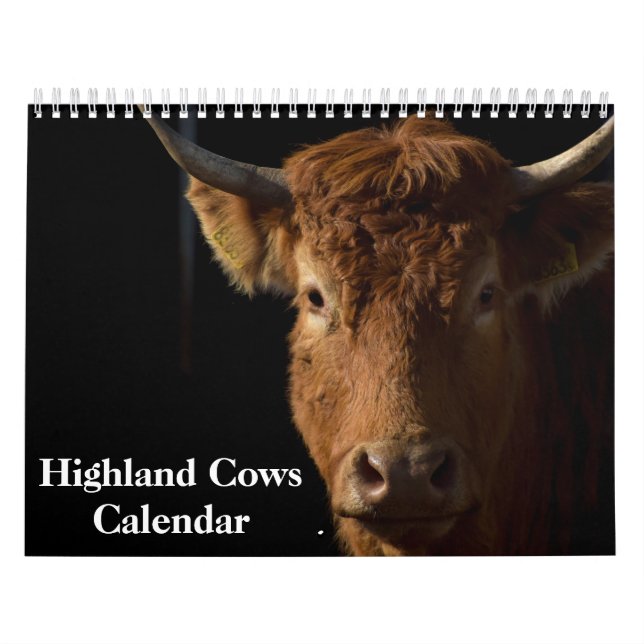 Highland Cows 2026 Calendar (Cover)
