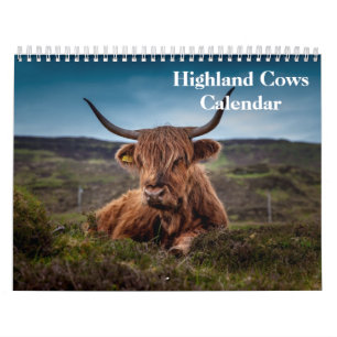 Highland Cows 2027 Calendar