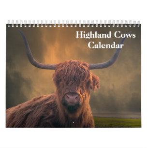 Highland Cows 2027 Calendar