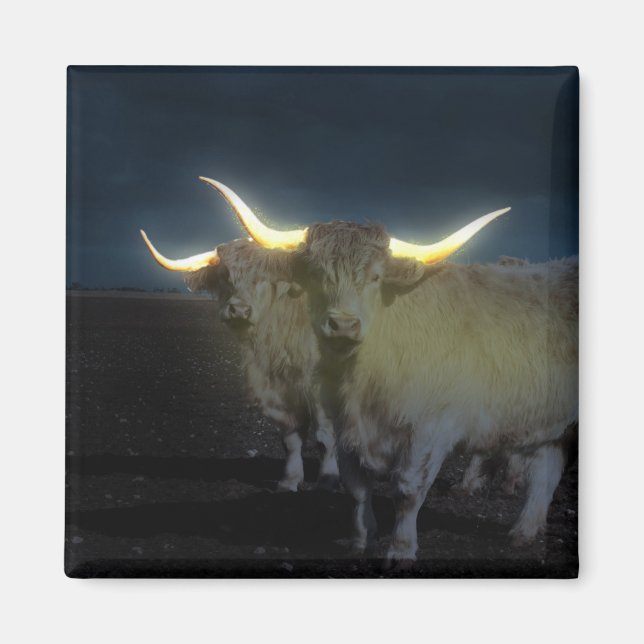 Highland Cows Glowing In The Dark, Fridge Magnet (Front)