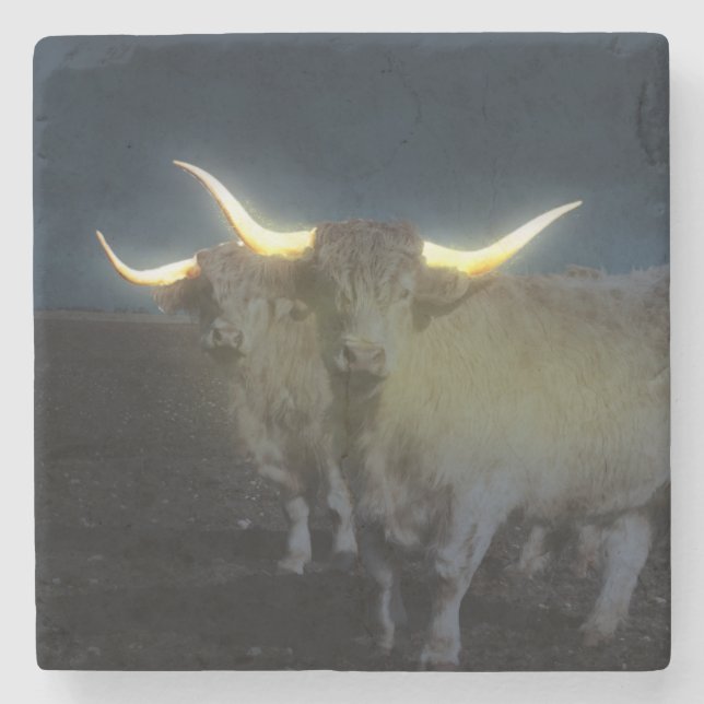 Highland Cows Glowing In The Dark, Stone Coaster (Front)