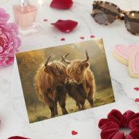 Highland Cows in love Postcard