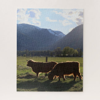 Highland Cows in Montana Puzzle
