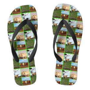 Highland Cows Photo Collage, Jandals