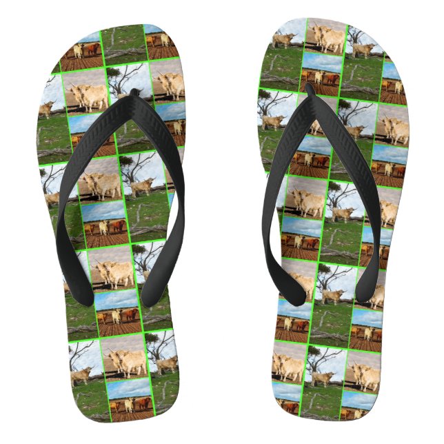 Highland Cows Photo Collage, Jandals (Footbed)