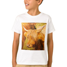 Highland cows, scottish cattle