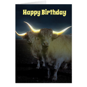 Highland Cows With The Glow, Birthday Card