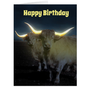 Highland Cows With The Glow, Jumbo Birthday Card