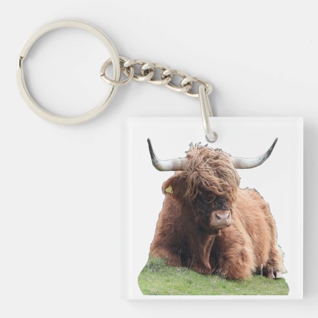 Highland "Moo" Cow  Key Ring (Front)
