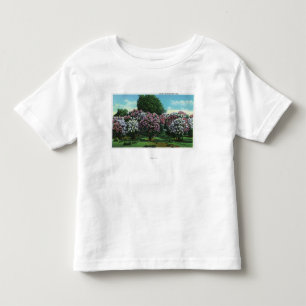 Highland Park Lilacs in Bloom Toddler T-Shirt