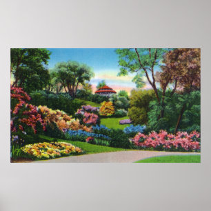 Highland Park Rhododendrons in Bloom Poster