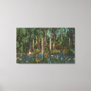 Highlands County, FL - View of Highlands Hammock Canvas Print