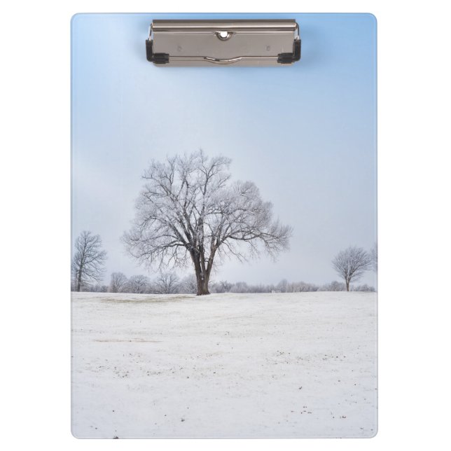 Highlighted Winter Oak Tree Clipboard (Front)