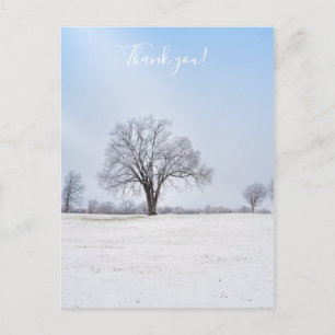 Highlighted Winter Oak Tree Thank you Postcard