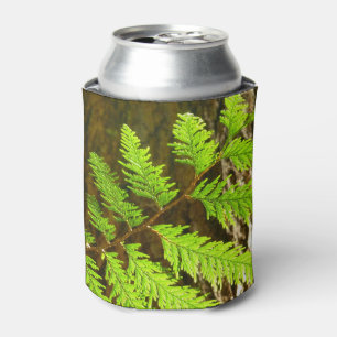 Highlights of a Redwood Tree Botanical Can Cooler