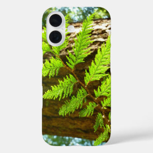 Highlights of a Redwood Tree Botanical iPhone 16 Case