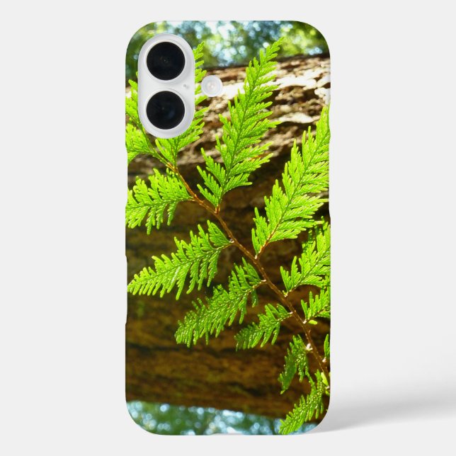 Highlights of a Redwood Tree Botanical Case-Mate iPhone Case (Back)