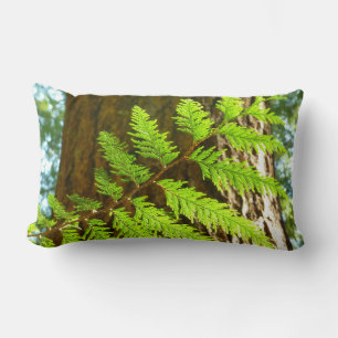 Highlights of a Redwood Tree Botanical Lumbar Cushion