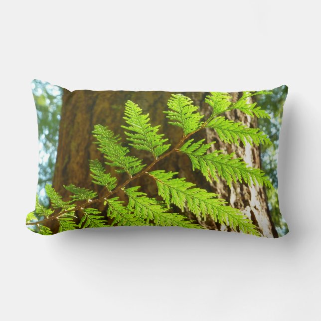 Highlights of a Redwood Tree Botanical Lumbar Cushion (Front)