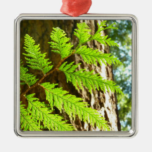 Highlights of a Redwood Tree Botanical Metal Tree Decoration