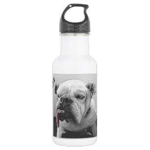 Highly Motivated, sleepy bulldog pink tongue 532 Ml Water Bottle