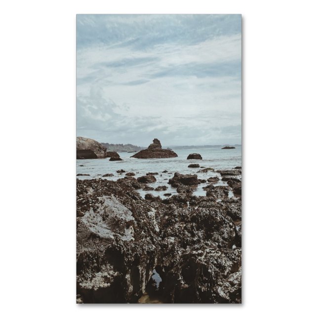 Highway 1  Rocky Beach  Magnetic Business Card (Front Vertical)
