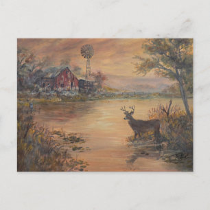 Highway Pond deer Postcard