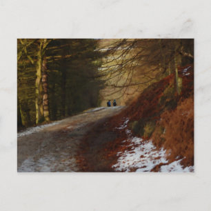 Hikers Postcard