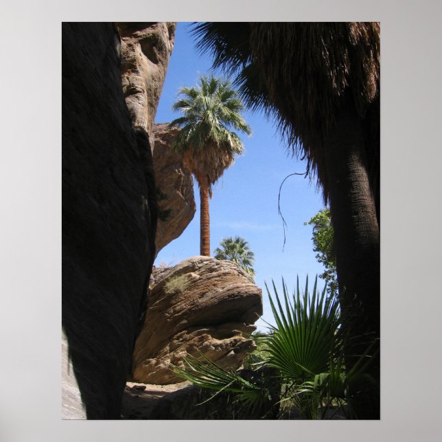 Hiking in Indian Canyon, Palm Springs, CA, Desert Poster (Front)