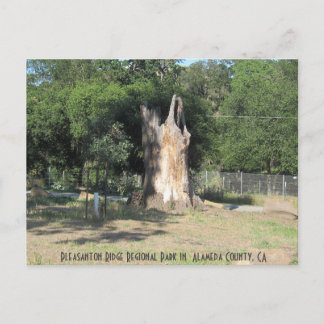 Hiking in Pleasanton, CA 6 Postcard