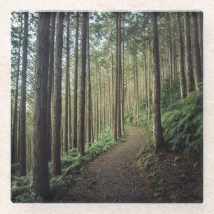 Hiking in the Mountains Wakayama, Japan Glass Coaster