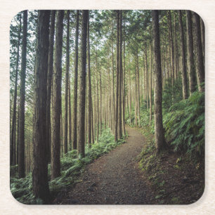 Hiking in the Mountains Wakayama, Japan Square Paper Coaster