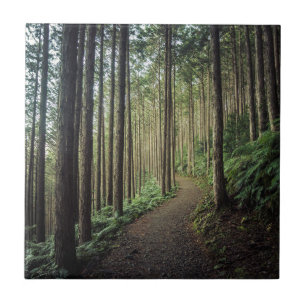 Hiking in the Mountains Wakayama, Japan Tile