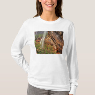 Hiking The Emerald Pools Trail in Zion National T-Shirt