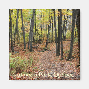 Hiking Trail in Autumn, Gatineau Park, Quebec. Magnet