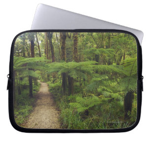 Hiking trail in rainforest with fern trees - laptop sleeve