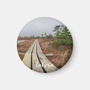 Hiking trail in swamp magnet