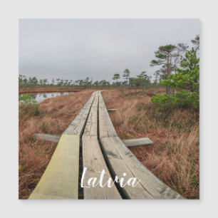 Hiking trail in swamp magnet
