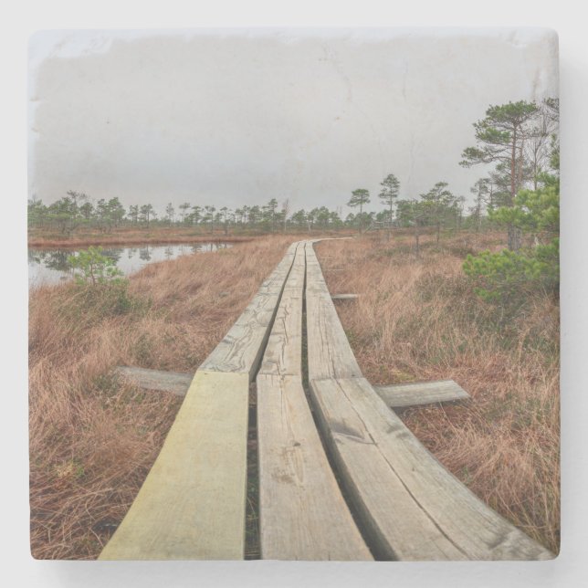 Hiking trail in swamp stone coaster (Front)