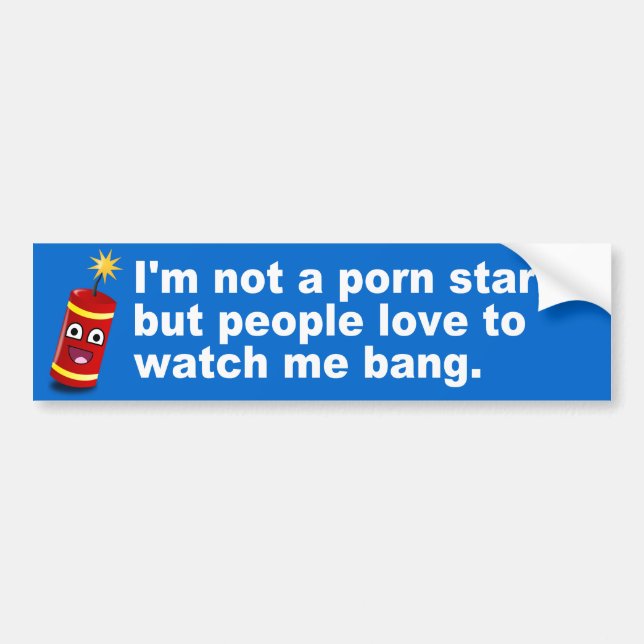 Hilarious Fireworks Quote Bumper Sticker (Front)