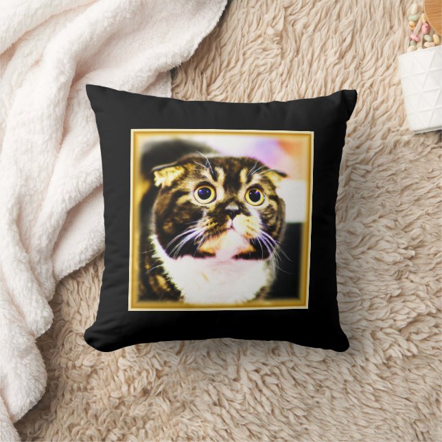 Hilarious Photo of a Funny Cat. Buy Now Cushion (Blanket)