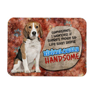 Hilarious thought from your Beagle Magnet