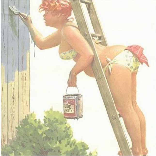 HILDA CURVY BIKINI ON LADDER BIG DECAL STICKER (Front)