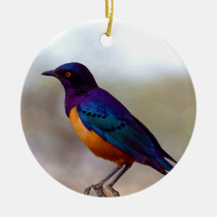 Hildebrandt's Starling Lamprotornis Hildebrandti Ceramic Tree Decoration