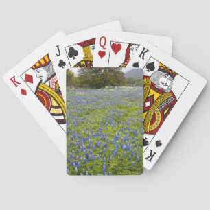 Hill Country, Texas, Bluebonnets and Oak tree Playing Cards